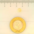 ITLGR_104937_SCALE.webp