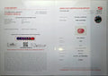 GFCO_39059_21_CERTIFICATE.webp