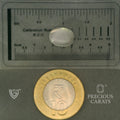 ITLGR_102072_SCALE.webp