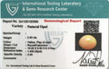 ITLGR_100566_CERTIFICATE.webp