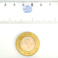 IGITL_211728_SCALE.webp