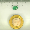 ITLGR_106863_SCALE.webp