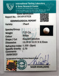 ITLGR_107028_CERTIFICATE.webp