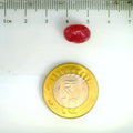 ITLGR_2436_SCALE.webp