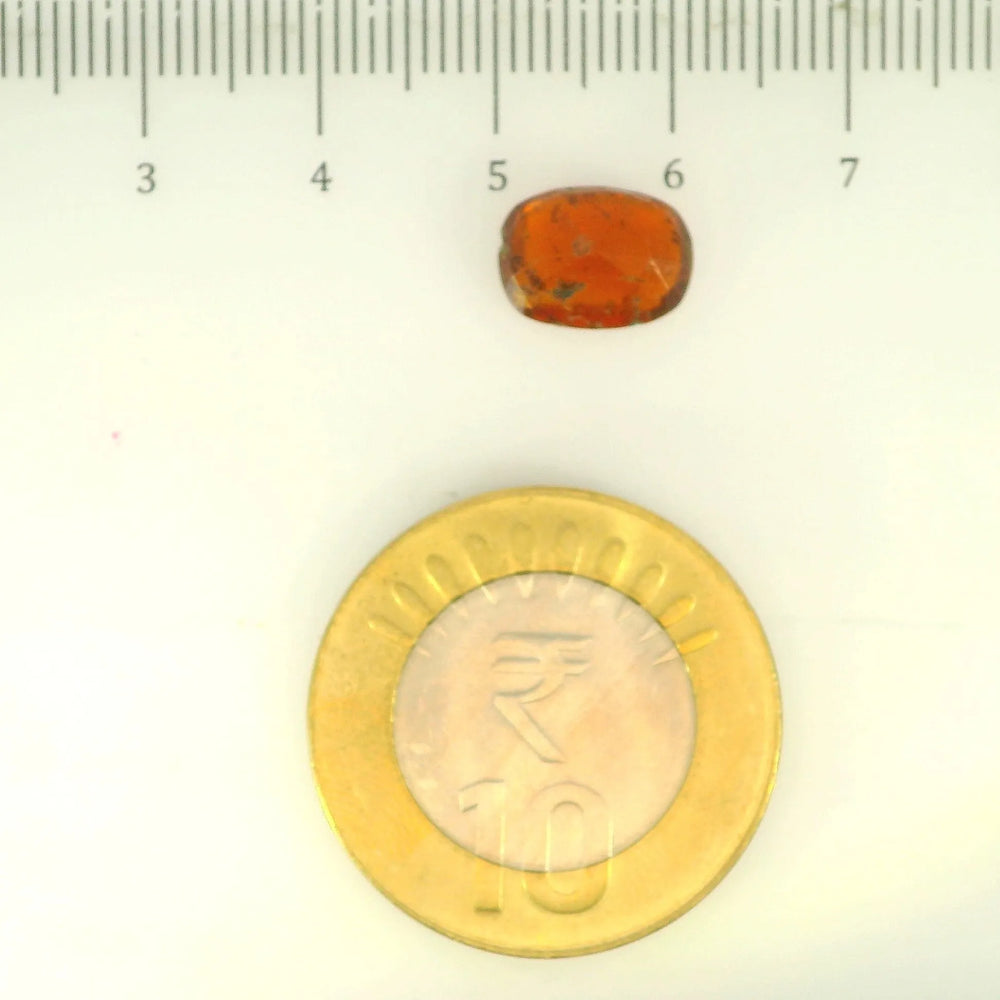 ITLGR_104178_SCALE.webp