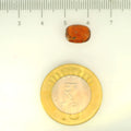 ITLGR_104178_SCALE.webp