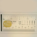ITLGR_98861_SCALE.webp