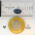 ITLGR_101059_SCALE.webp