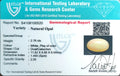 ITLGR_100520_CERTIFICATE.webp