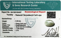 ITLGR_100497_CERTIFICATE.webp