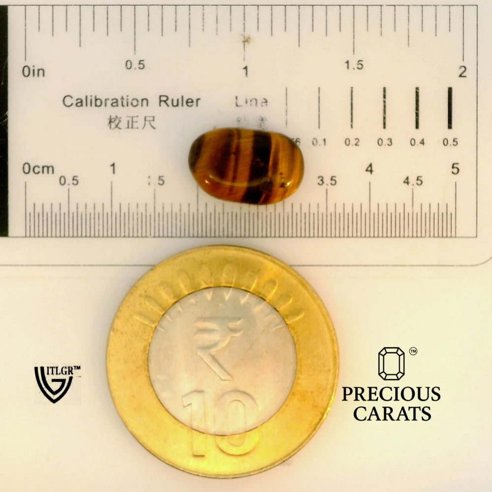 ITLGR_104471_SCALE.webp