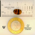 ITLGR_104471_SCALE.webp