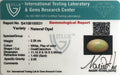 ITLGR_100531_CERTIFICATE.webp