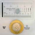 ITLGR_99117_SCALE.webp