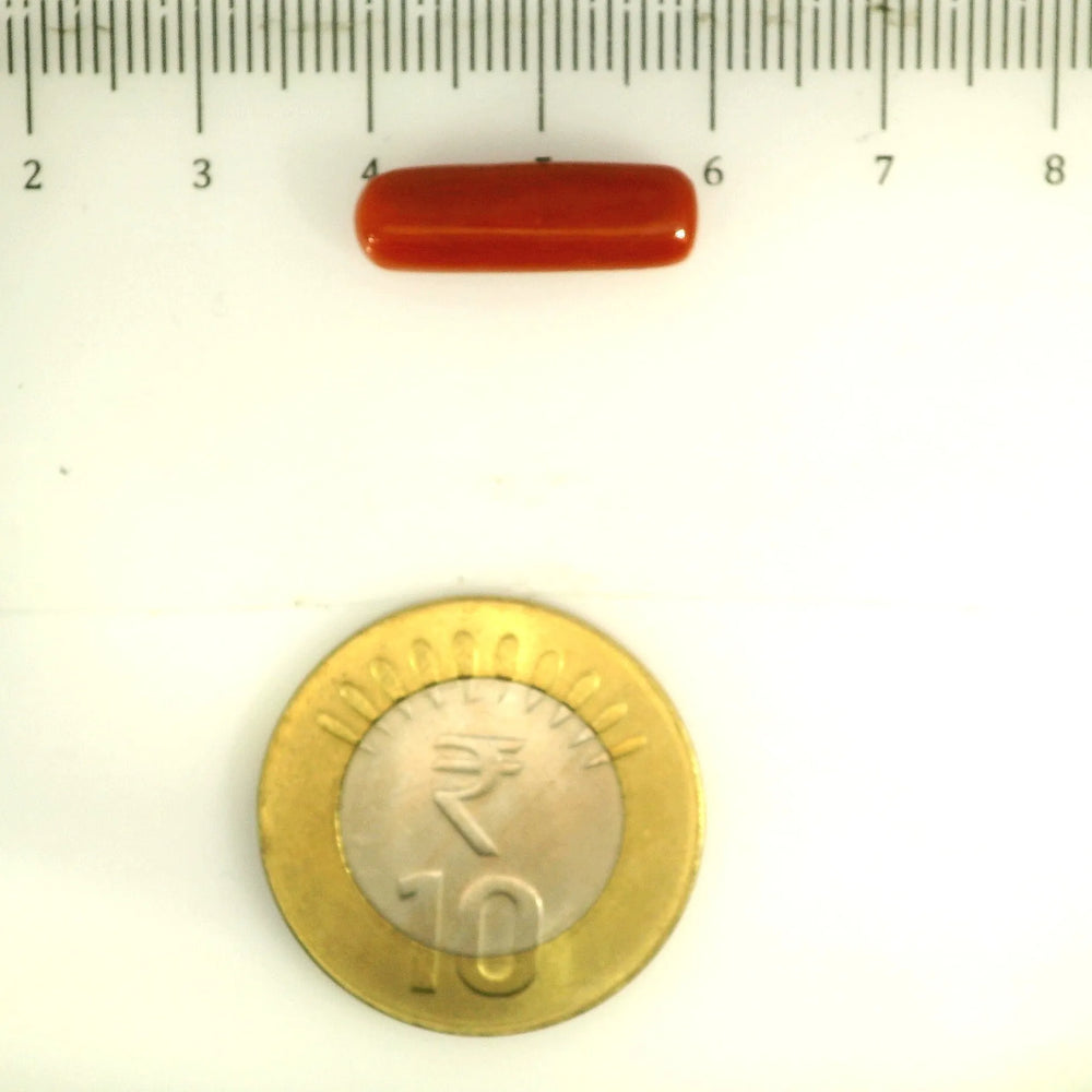 ITLGR_112857_SCALE.webp