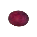 ITLGR_112909_FRONT.png