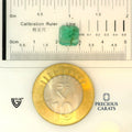 ITLGR_100254_SCALE.webp