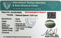 ITLGR_100590_CERTIFICATE.webp