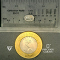 ITLGR_100365_SCALE.webp