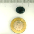 ITLGR_109294_SCALE.webp