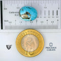 ITLGR_100868_SCALE.webp