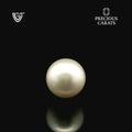 ITLGR_99863_FRONT.webp