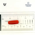 ITLGR_99872_SCALE.webp