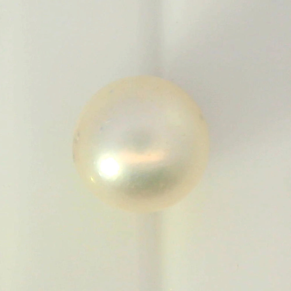 ITLGR_99852_TOP.webp