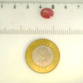 ITLGR_109893_SCALE.webp