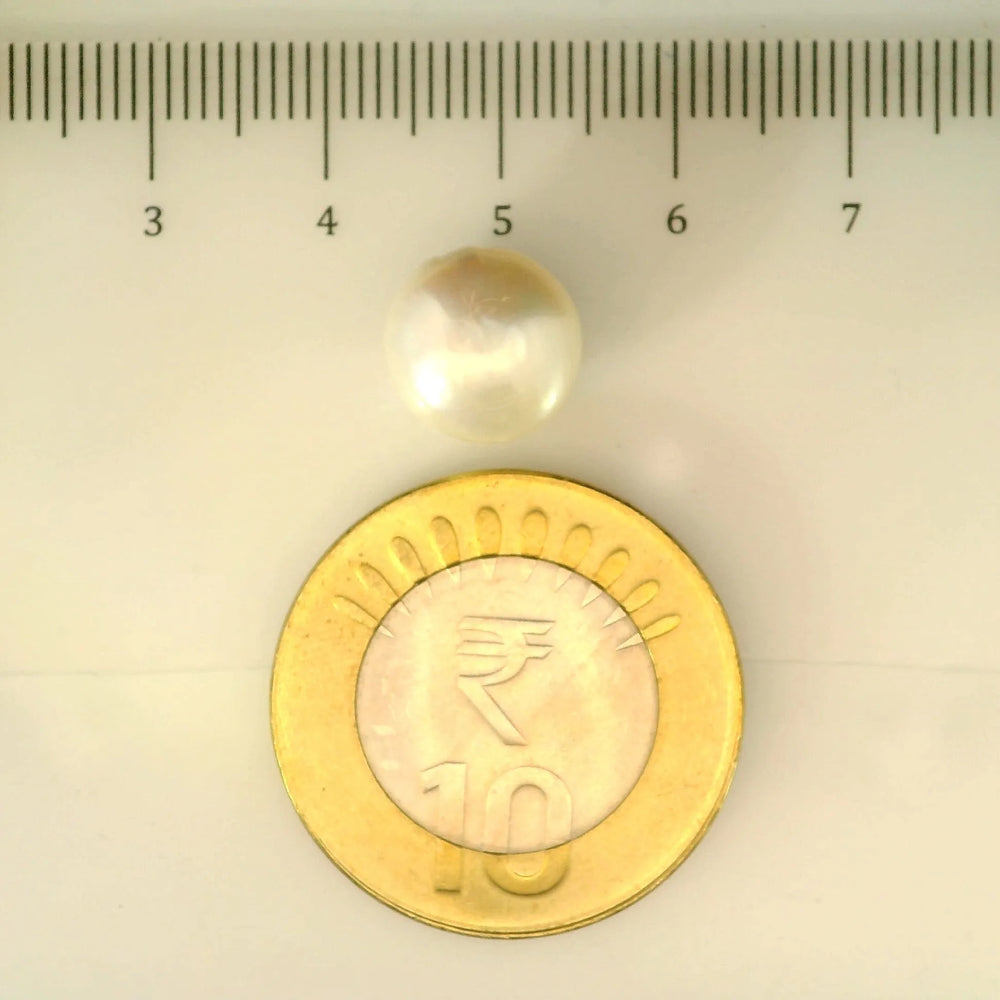 ITLGR_106999_SCALE.webp