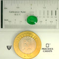 ITLGR_105254_SCALE.webp