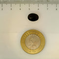 ITLGR_113193_SCALE.webp