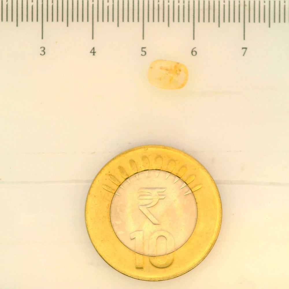 ITLGR_104978_SCALE.webp