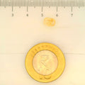 ITLGR_104978_SCALE.webp