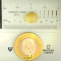 ITLGR_100519_SCALE.webp