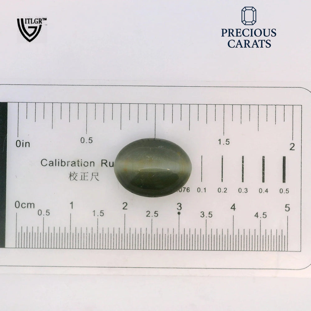 ITLGR_100588_SCALE.webp
