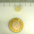 ITLGR_106783_SCALE.webp