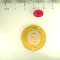 ITLGR_113297_SCALE.webp