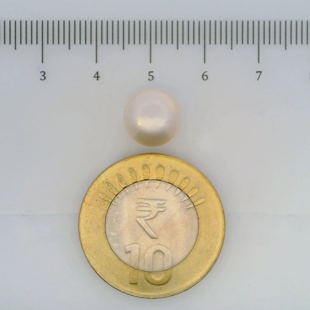 ITLGR_106970_SCALE.webp