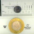 ITLGR_101651_SCALE.webp