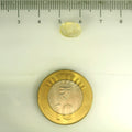 IGITL_201538_SCALE.webp