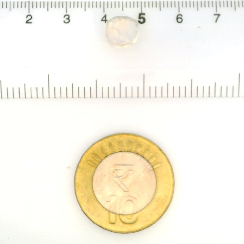 IGITL_211806_SCALE.webp