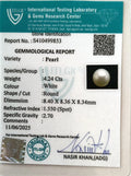 ITLGR_99853_CERTIFICATE.webp