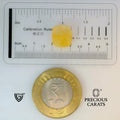 ITLGR_98873_SCALE.webp