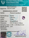 ITLGR_113069_CERTIFICATE.webp