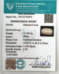 ITLGR_102024_CERTIFICATE.webp