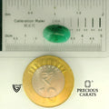ITLGR_105035_SCALE.webp
