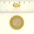 ITLGR_121754_SCALE.webp