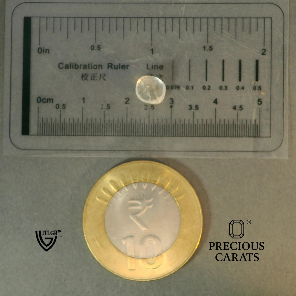 ITLGR_100392_SCALE.webp