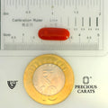 ITLGR_104536_SCALE.webp